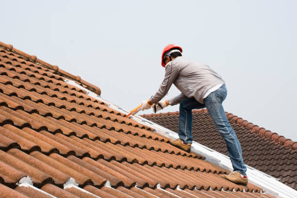 Best Emergency Roof Repair Services  in Pagosa Springs, CO