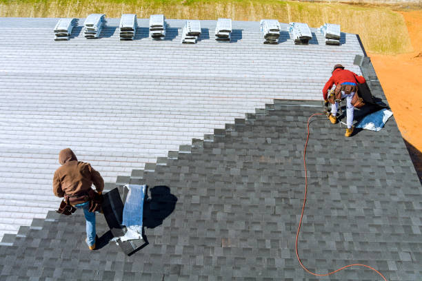 Best Roof Insulation Installation  in Pagosa Springs, CO